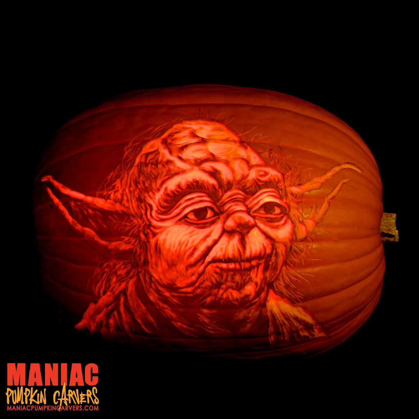 mpc.yoda2015.jpg