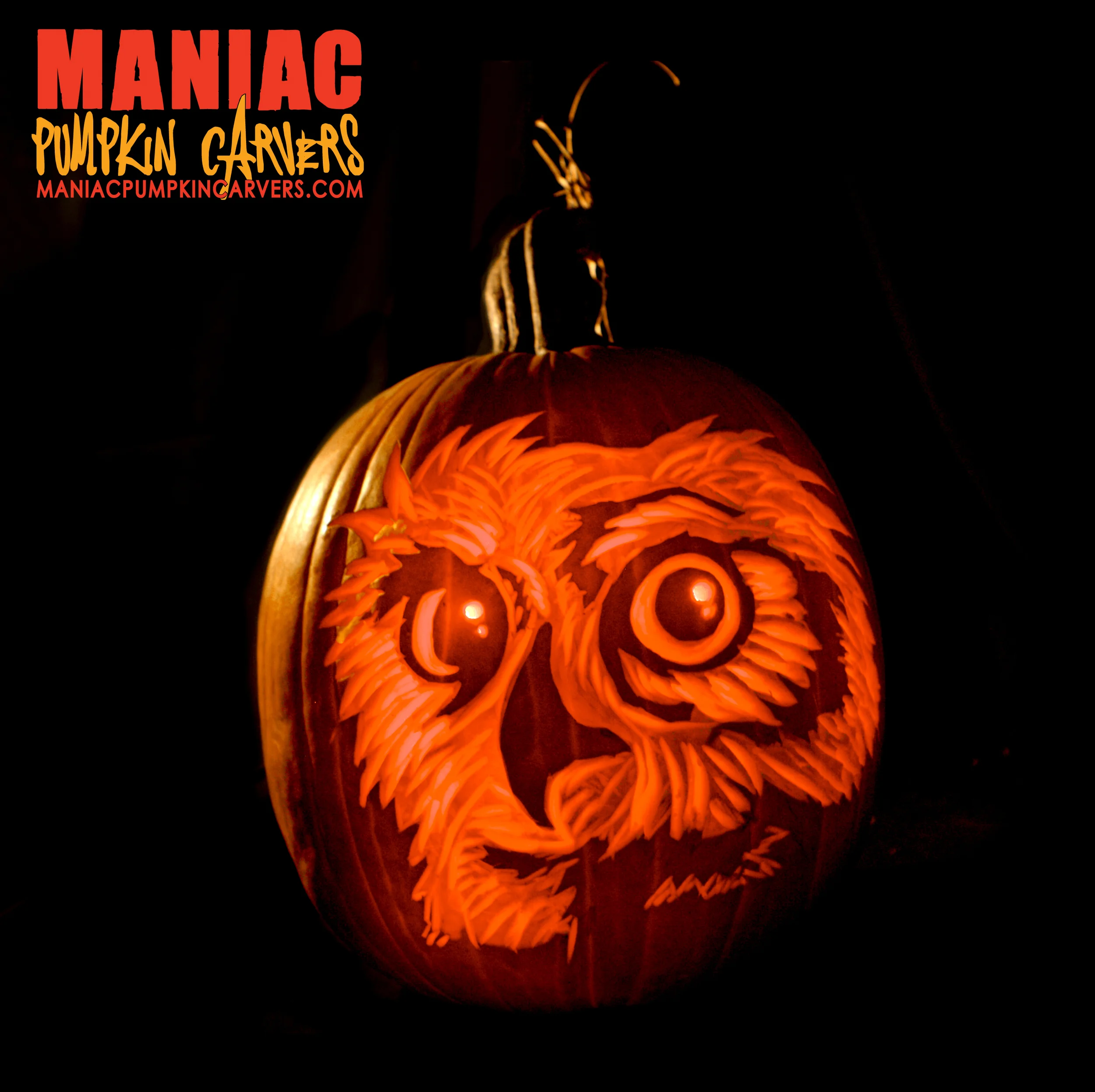 mpc.owl2012.jpg