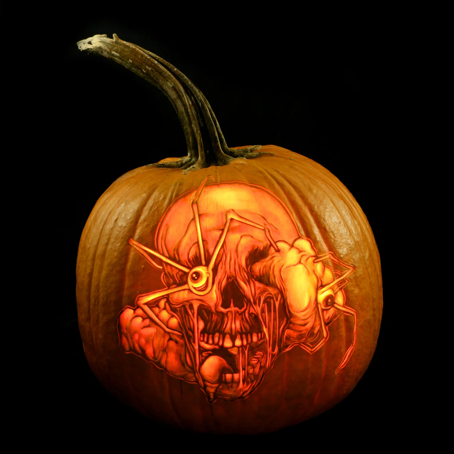Maniac Pumpkin Carvers - Professional Pumpkin Carving - Works of Art ...