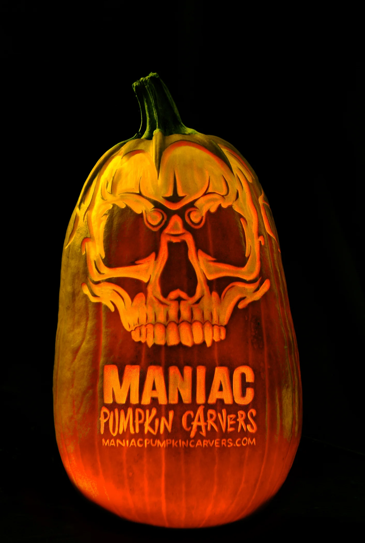 mpc.highres_skull 001.jpg