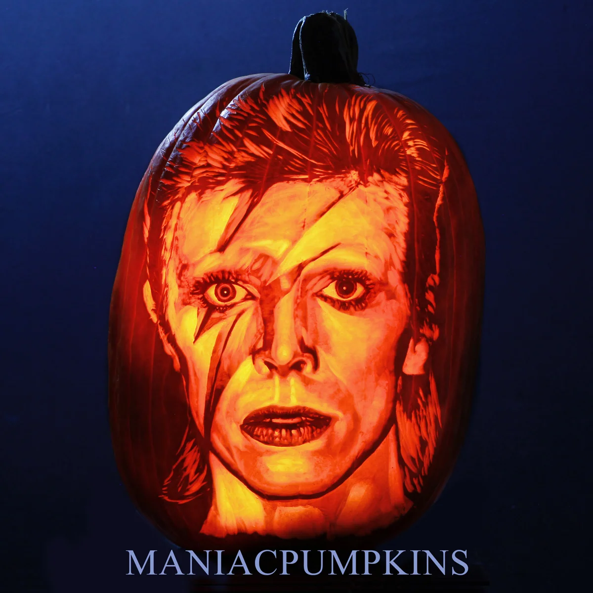 Etching style portrait carving of David Bowie (on Xtra Large Pumpkin) by Chris Soria We have extensive experience carving all manner of requests. From corporate logos, to portraits, monsters, and artistic masterpieces. We will transform your ideas into a reality. We also offer photography, video, and time-lapse services!