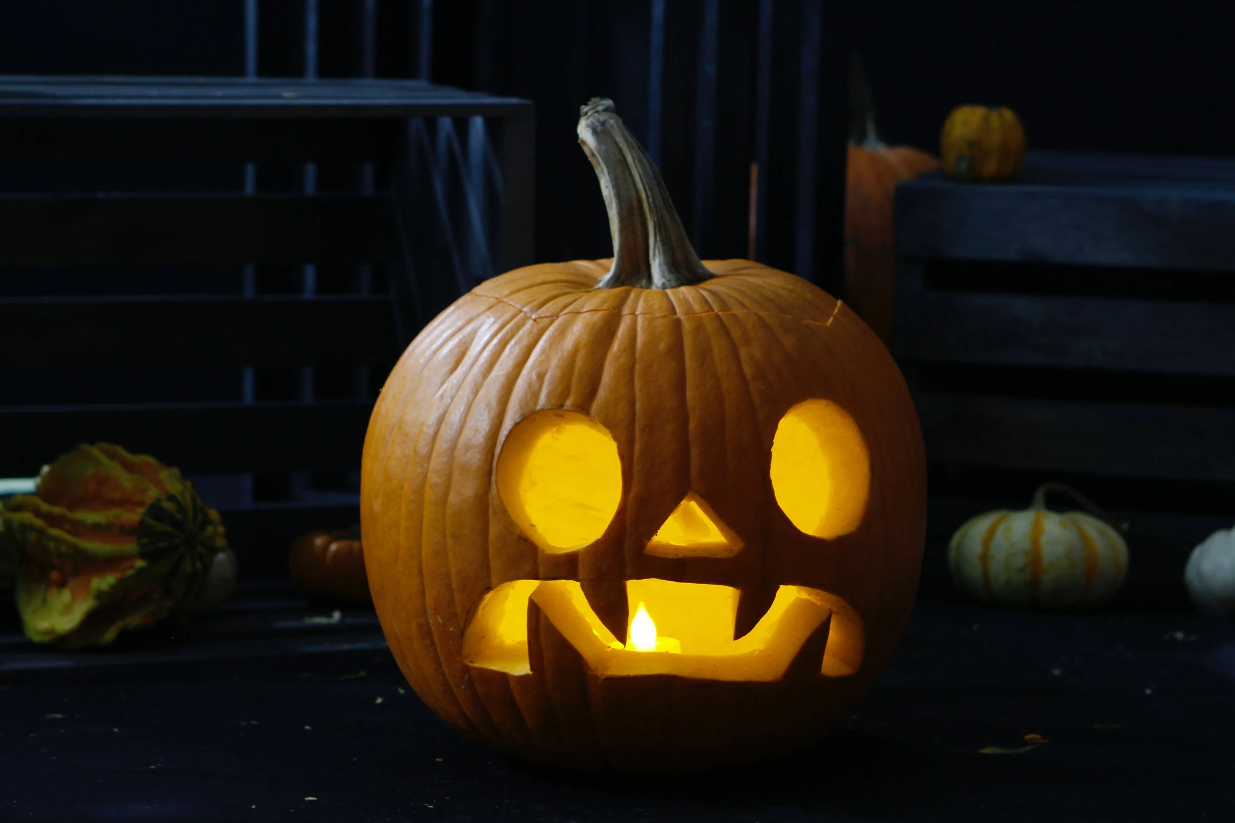 mpc.jackolanterns 8.jpg