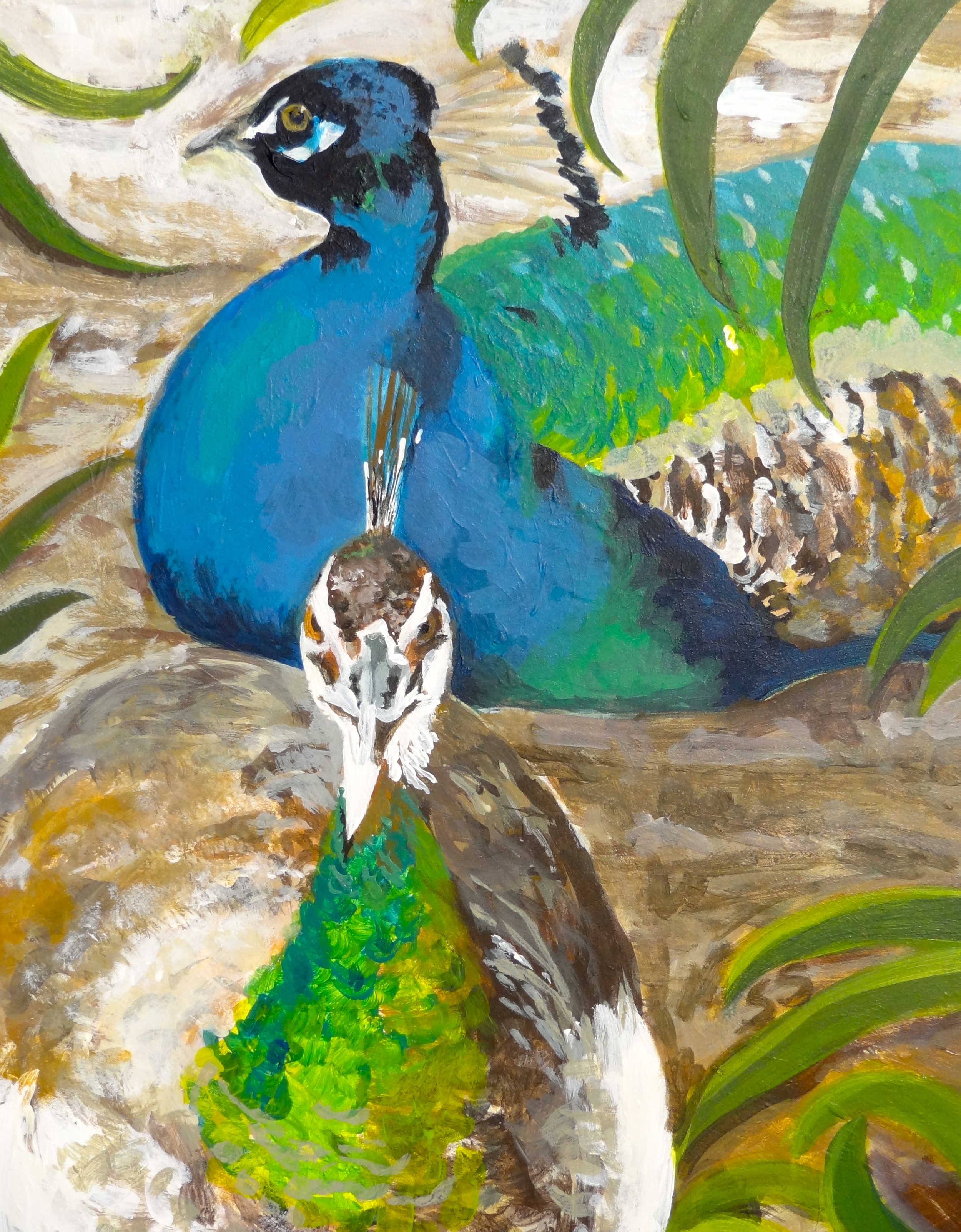 Peacocks in Hiding (Acrylic) SOLD