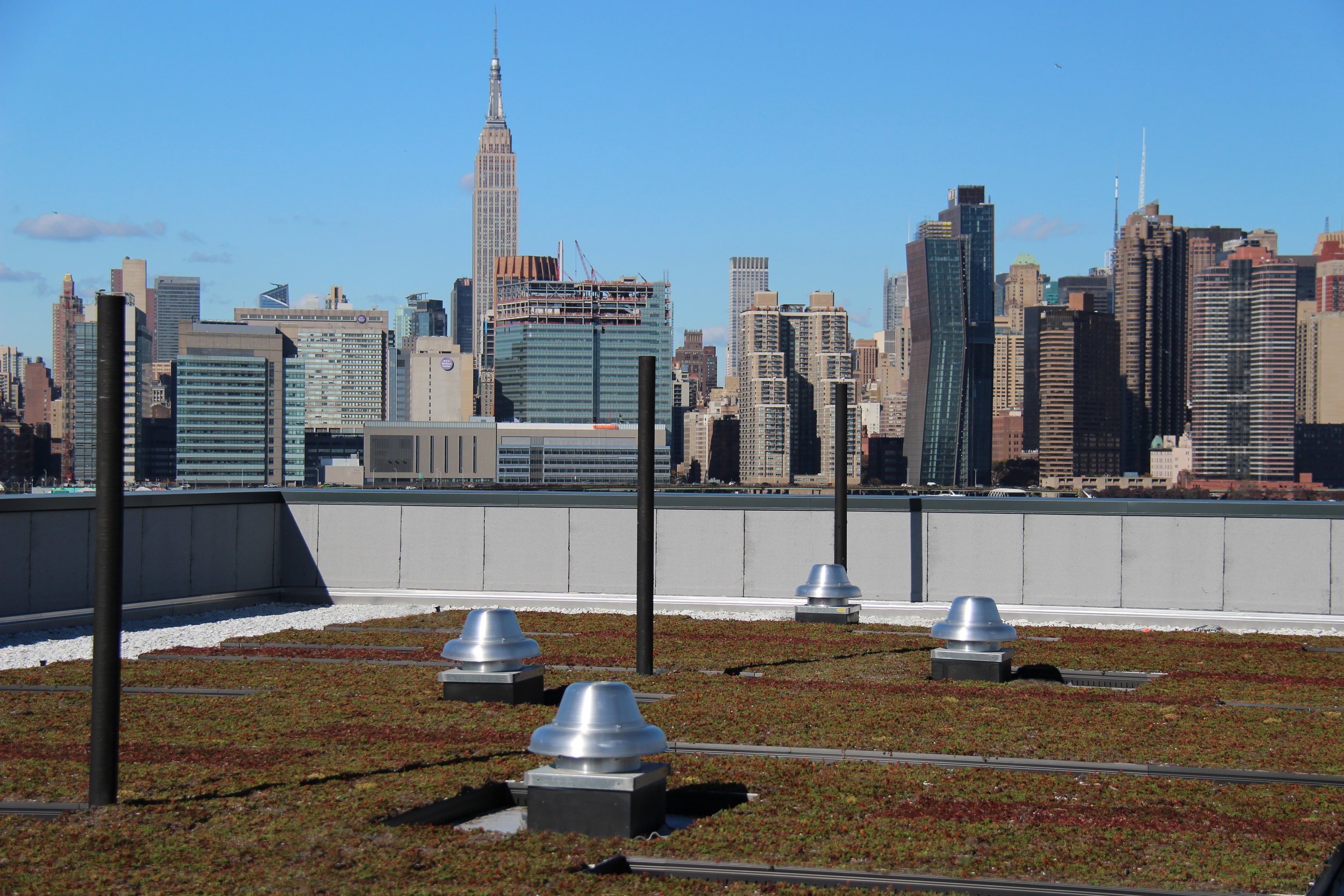 Greenpoint Roof Image 3.jpg