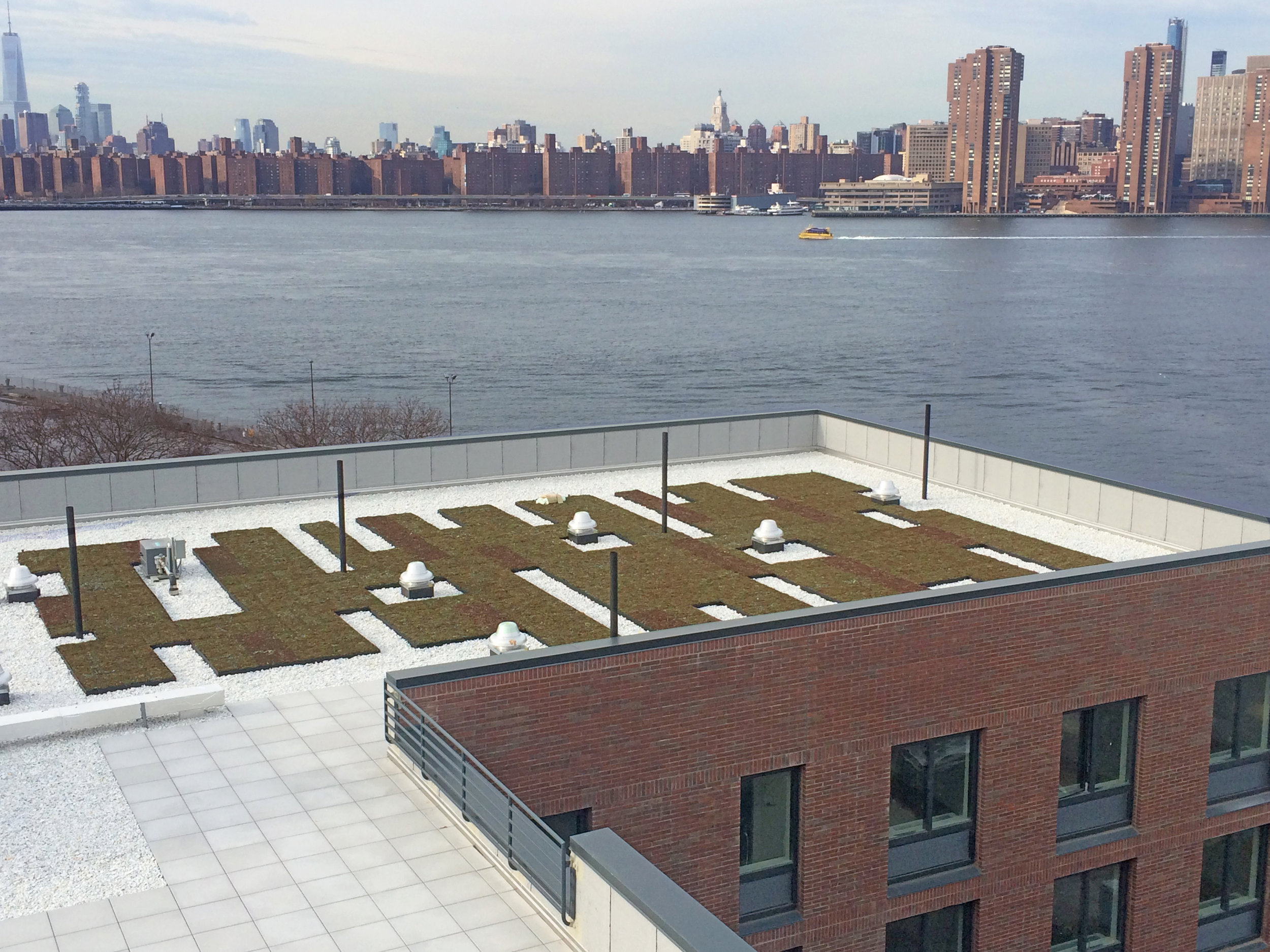 Greenpoint Roof Image 1.jpg