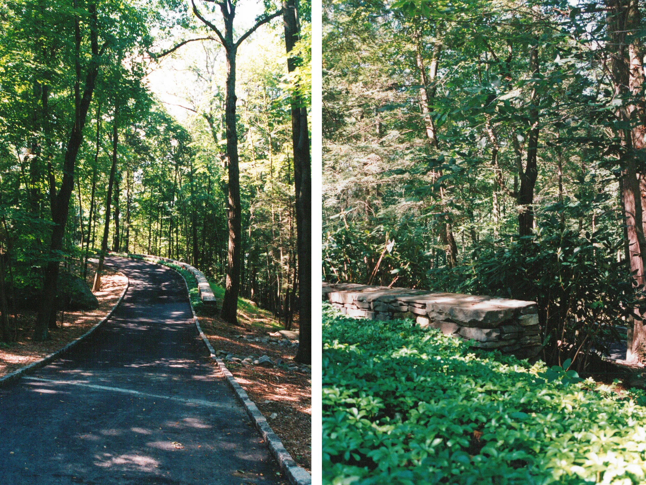 IMAGE 4.jpg