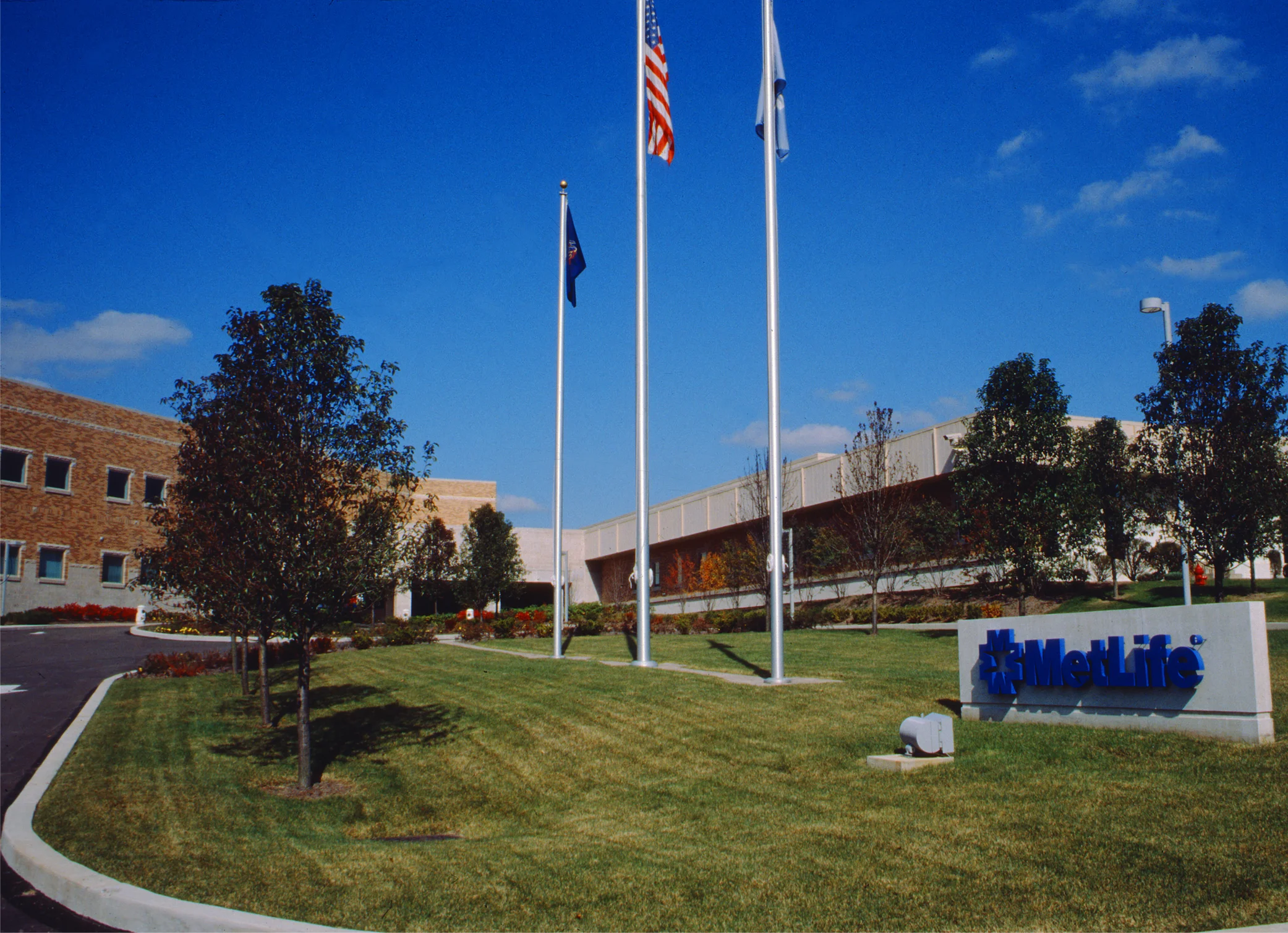 Image 1.jpg