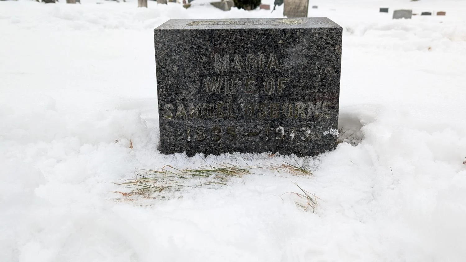 04 Maria Osborne.jpg