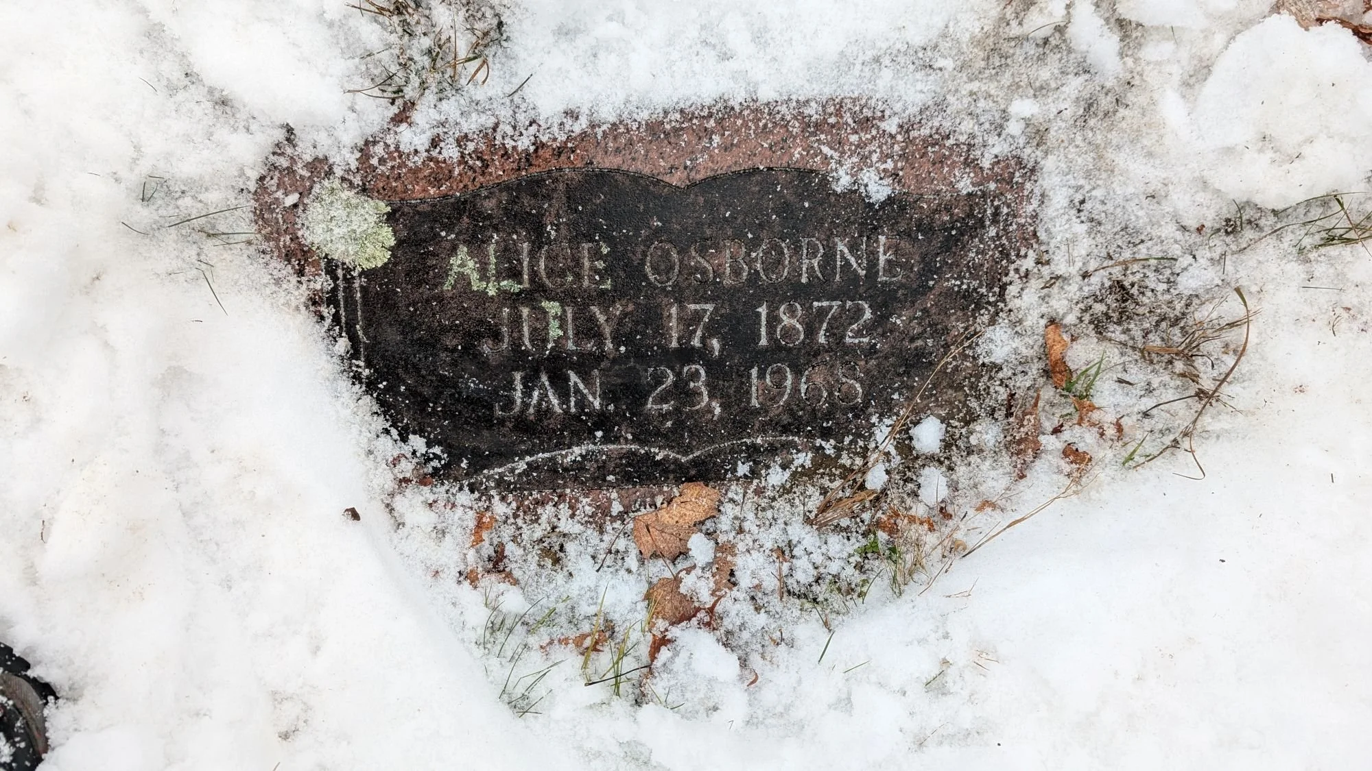 08 Alice Osborne.jpg