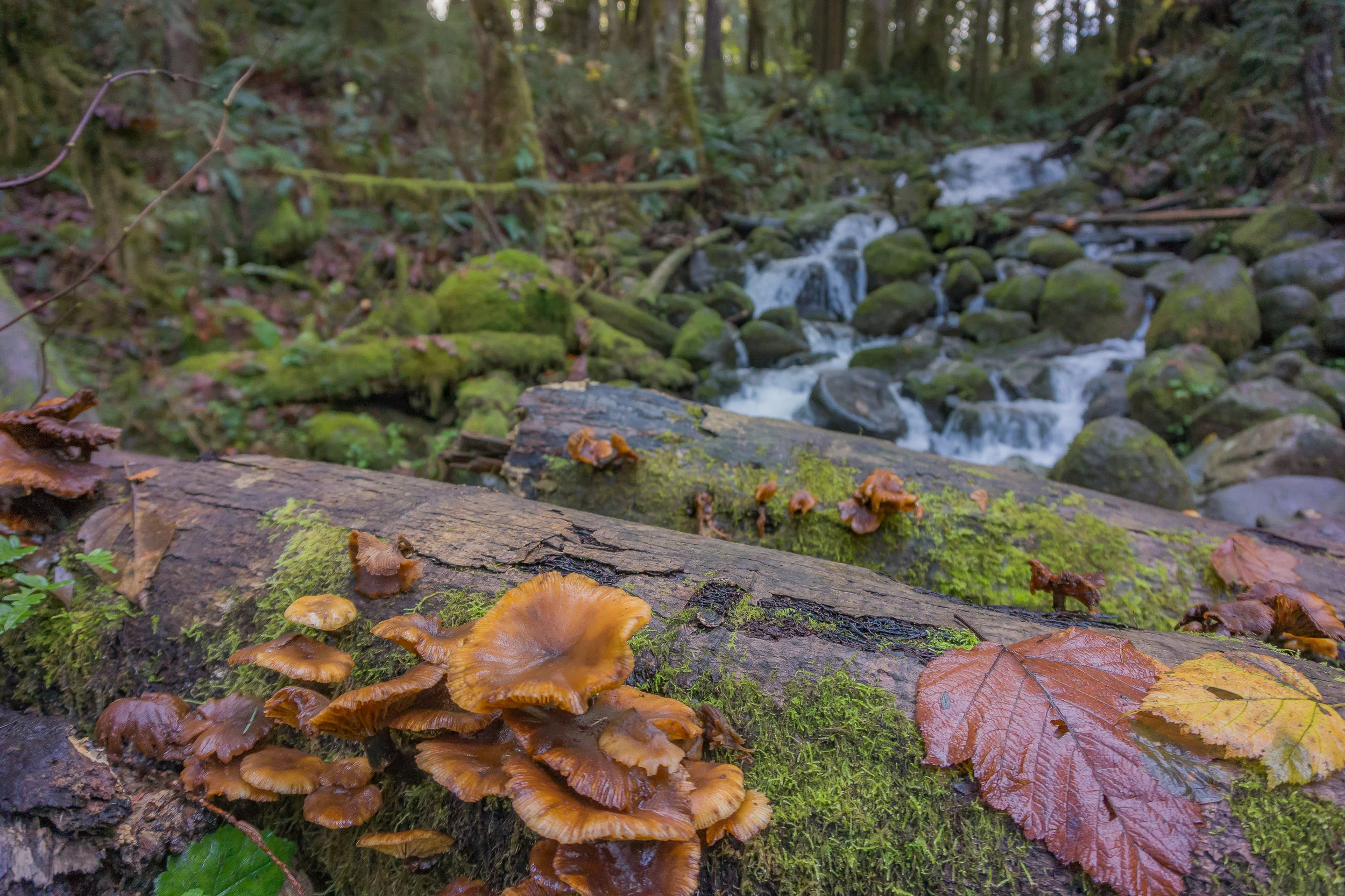 20161114-19.jpg
