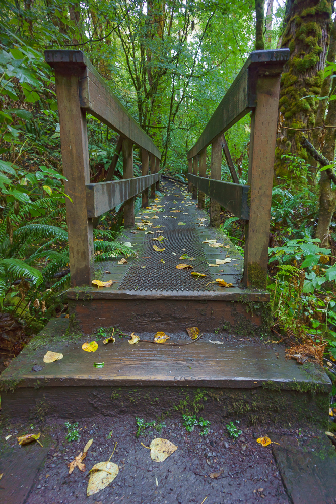 Bridge over Coal Creek