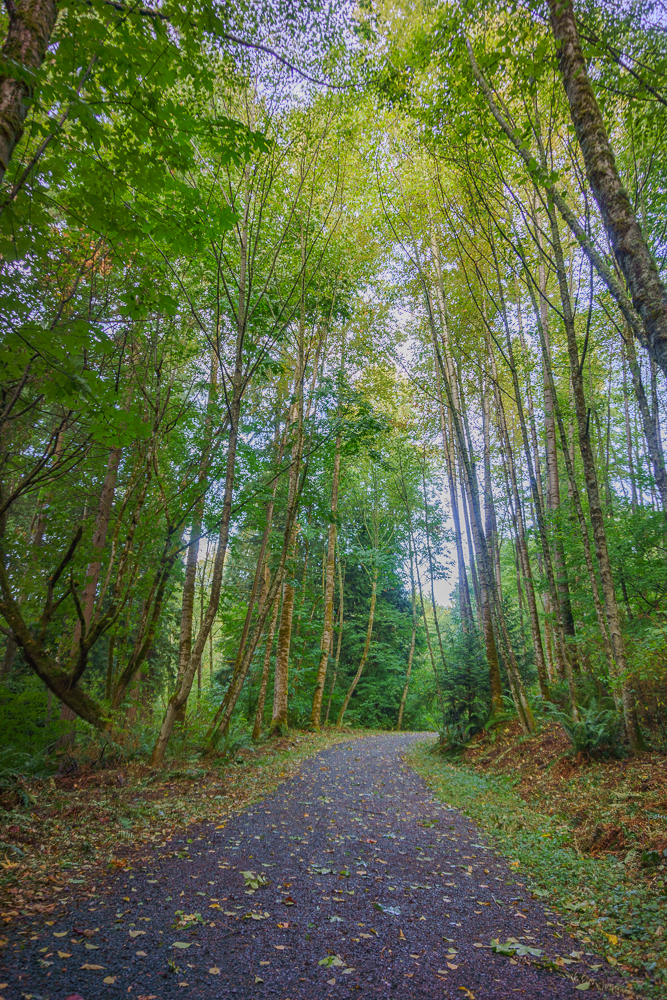 Red Town Trail