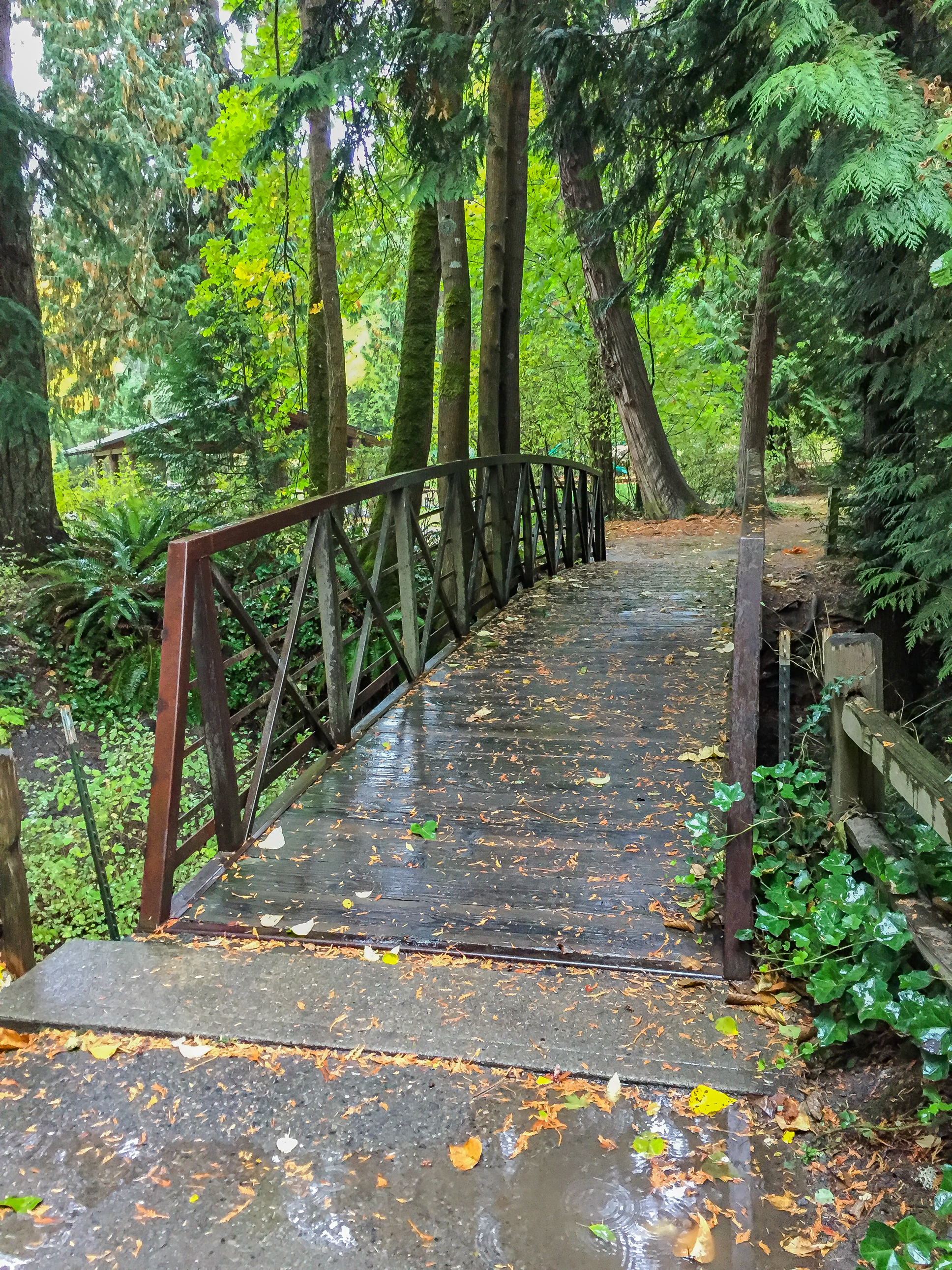 Crossing a bridge over Denny Creek