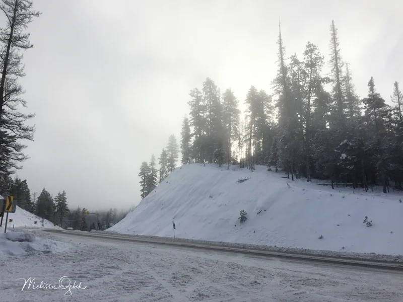 View of U.S. Route 97 from the North Blewett Pass Sno-Park