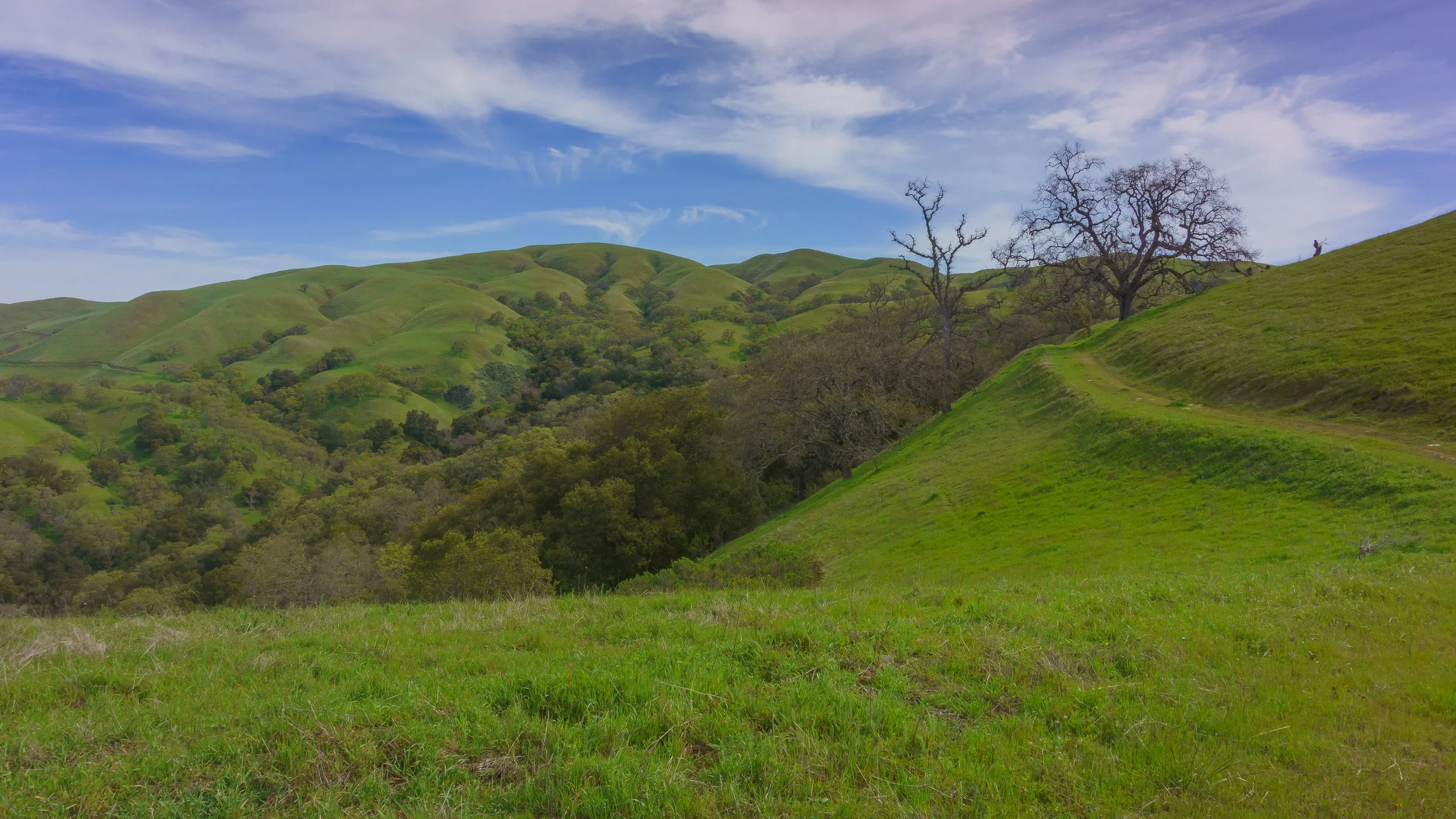 A view from the other side of Vista Grande Overlook, almost as equally stunning. 