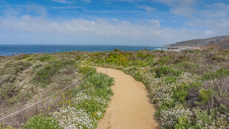Bluff Trail at Garrapata State Park