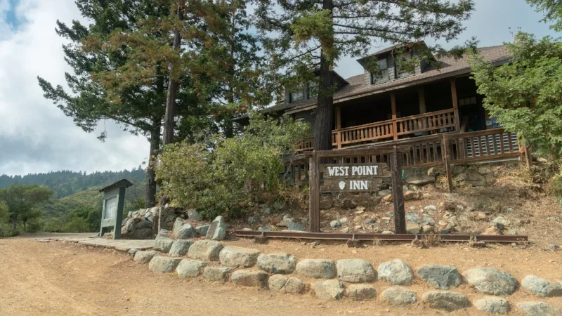 From Sea To Summit At Mount Tamalpais Melissa Ozbek