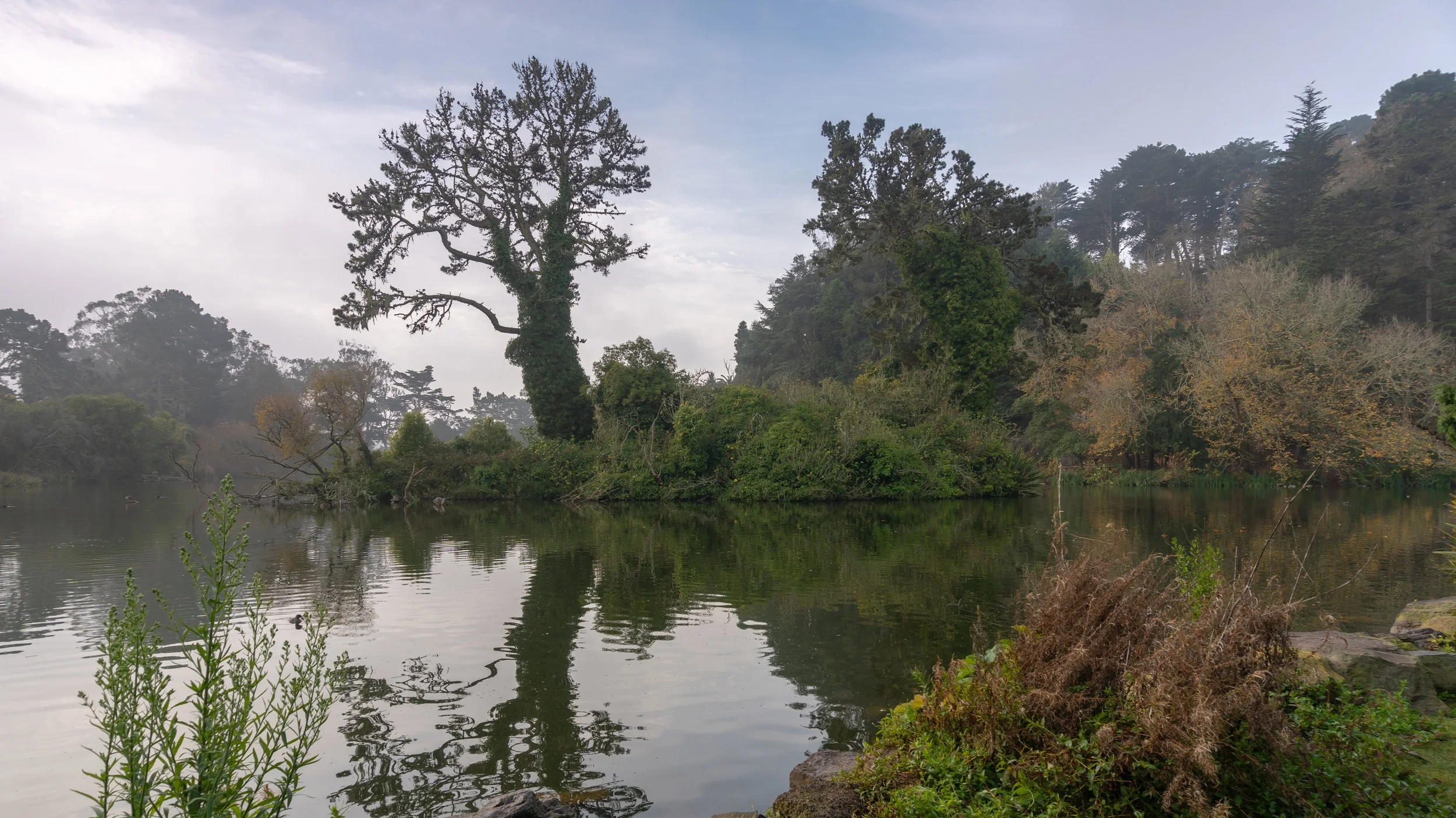 Golden Gate Park Loop