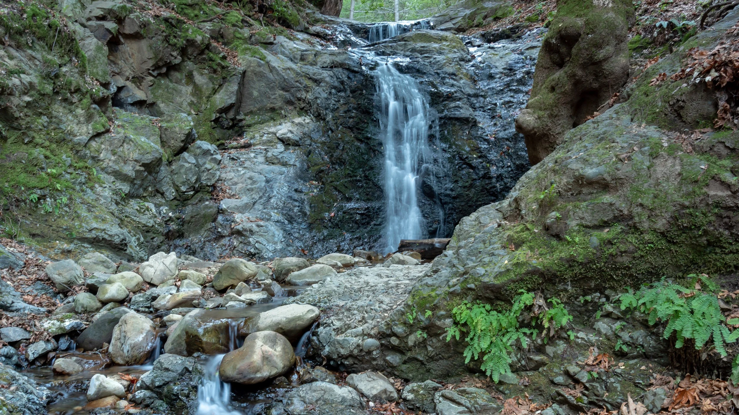 Uvas Canyon Waterfall Loop