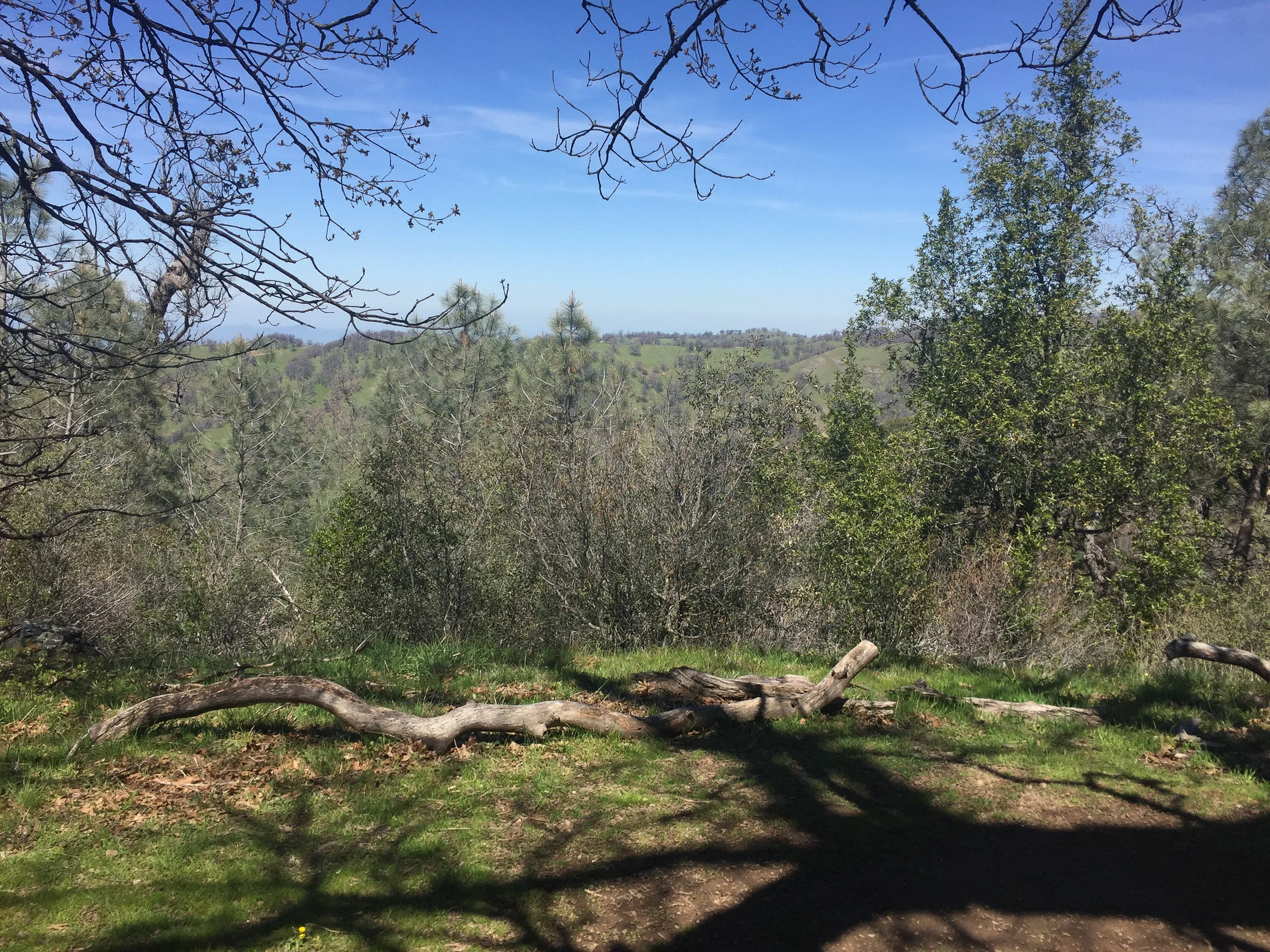 Partial views of a distant ridge from my campsite.