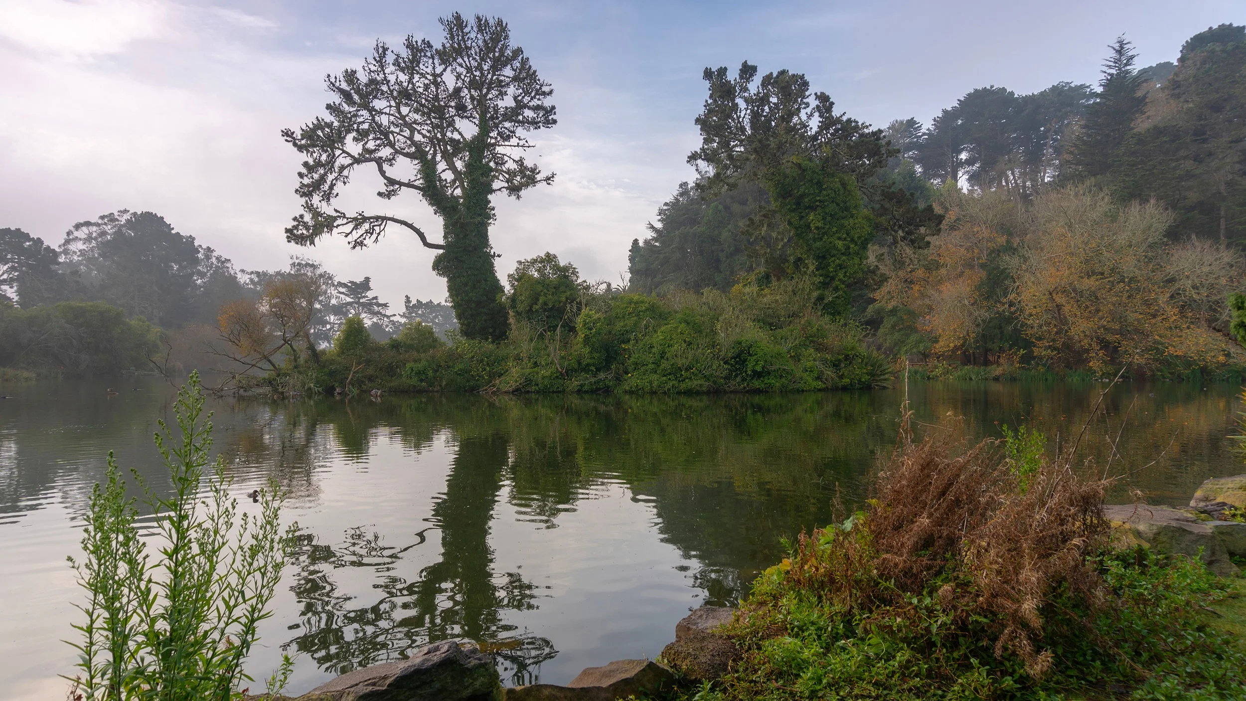 Golden Gate Park Loop