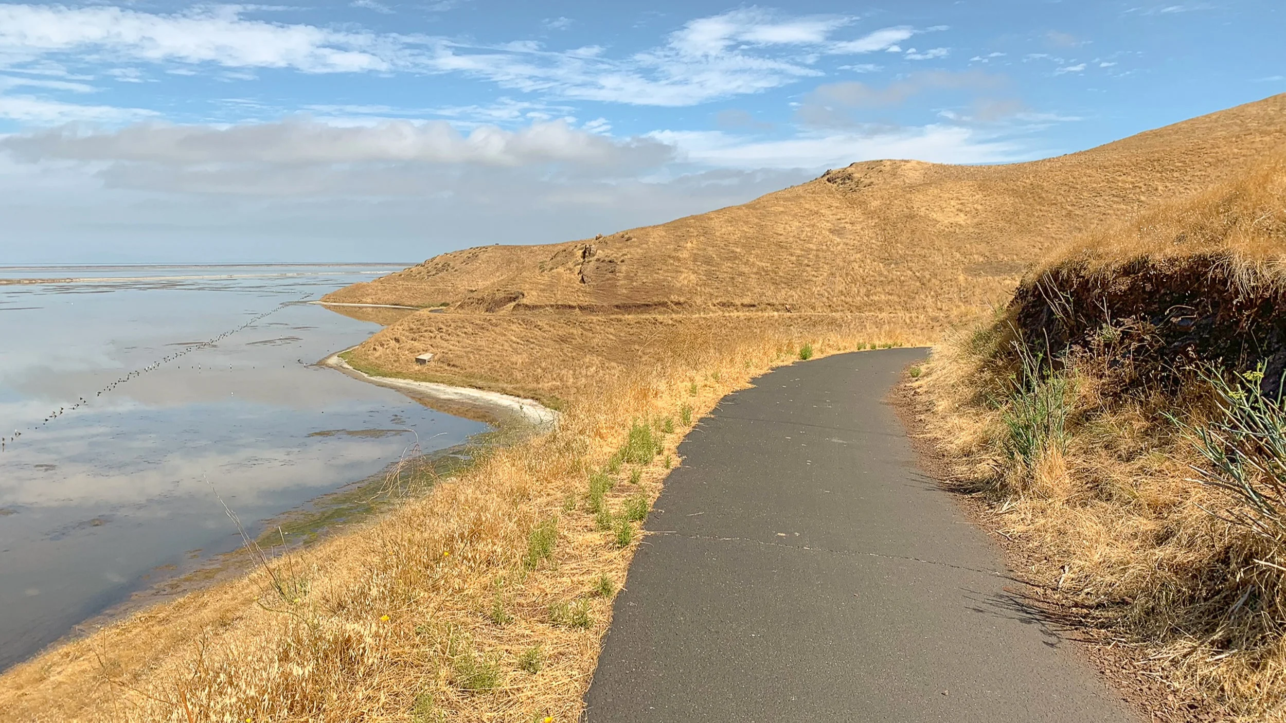 Quail and Bay View Trail Loop