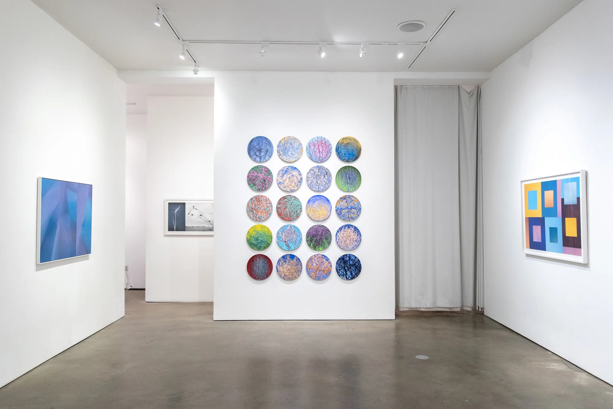 Brenda Biondo-Sun to Earth-05.jpg