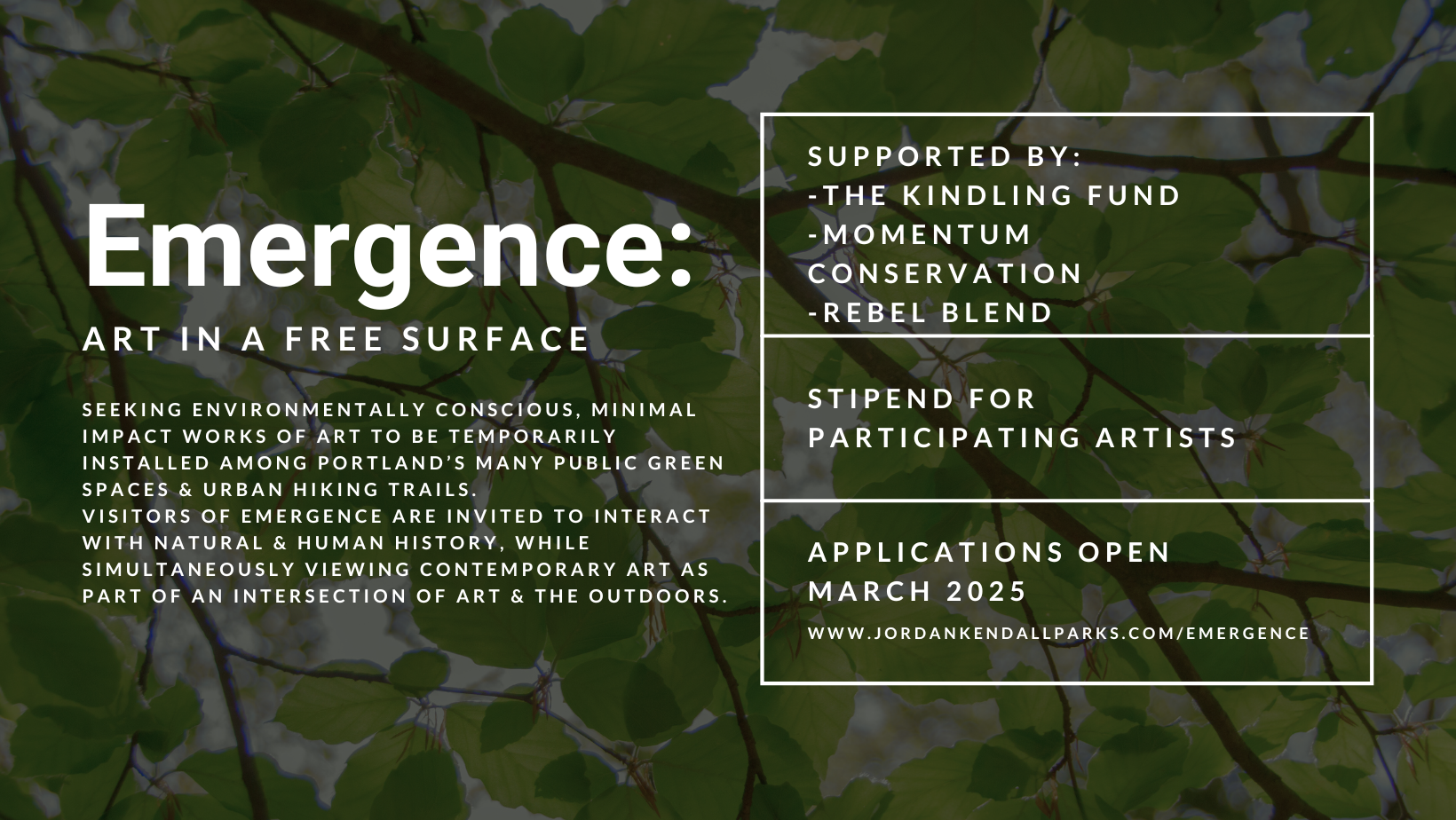 Emergence: Art in a Free Surface, 2024 — Jordan Kendall Parks