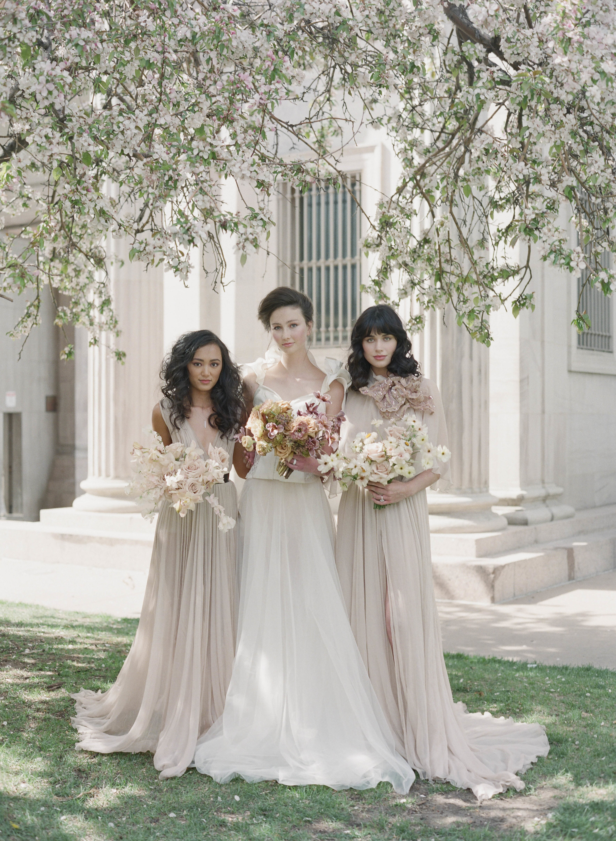 154 Fuji_SpringShoot.JPG