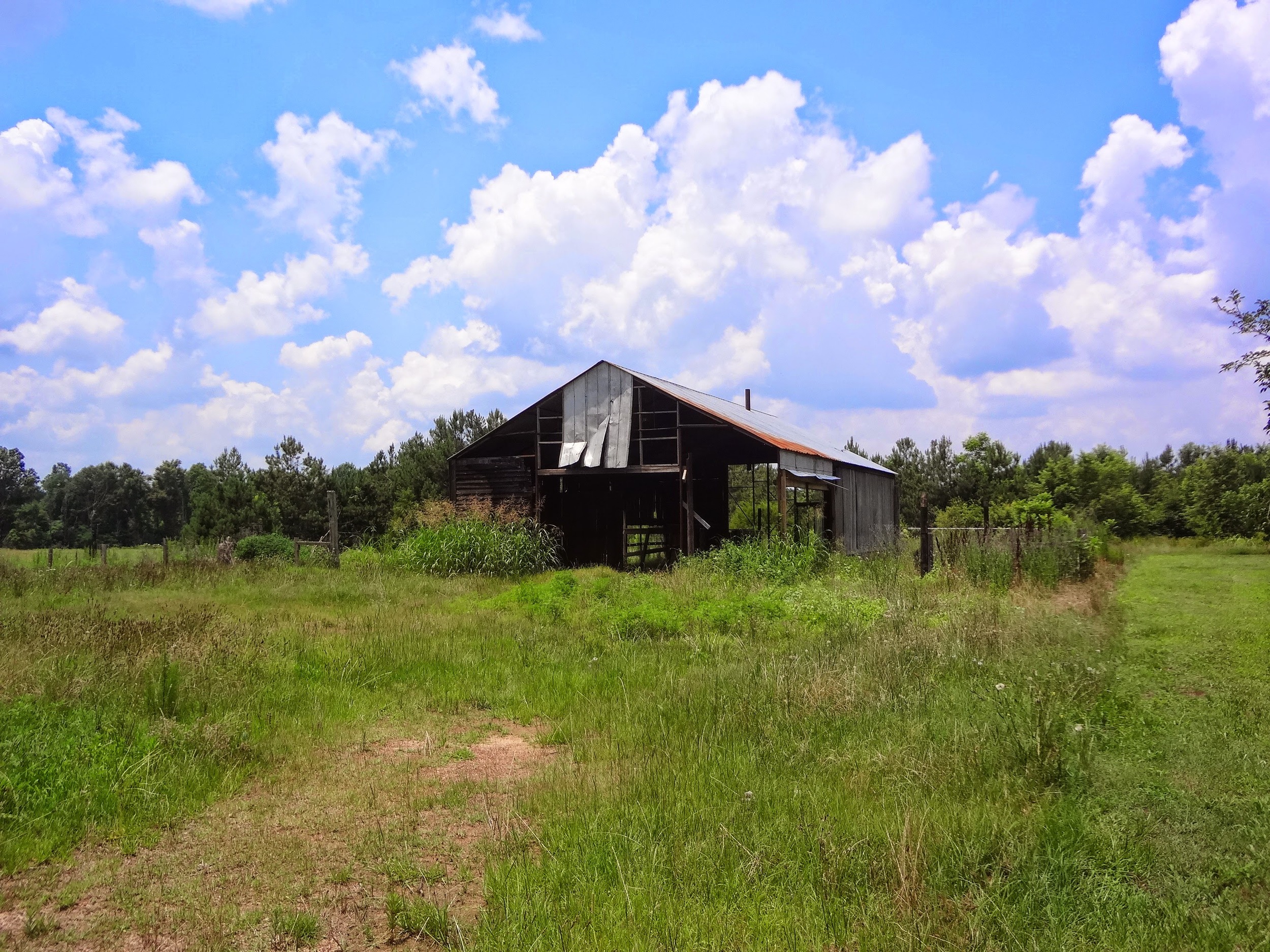 Black barn