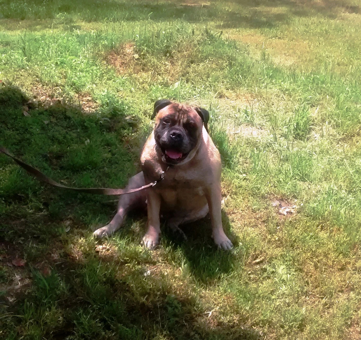 Jojo has become the newest resident of Norwood, Georgia!