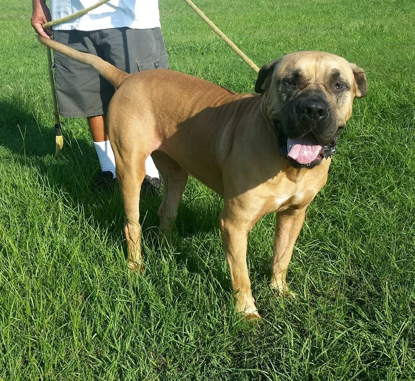 Maxine is the newest member of the Brookmire clan in Atlanta, GA!