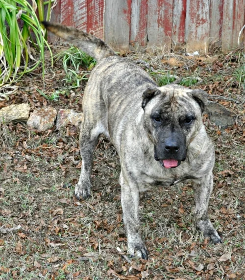 Honey B. got the best home in South Carolina!
