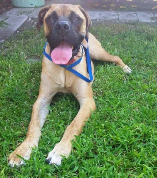 Lovely Lady is loving her new life in Louisiana!