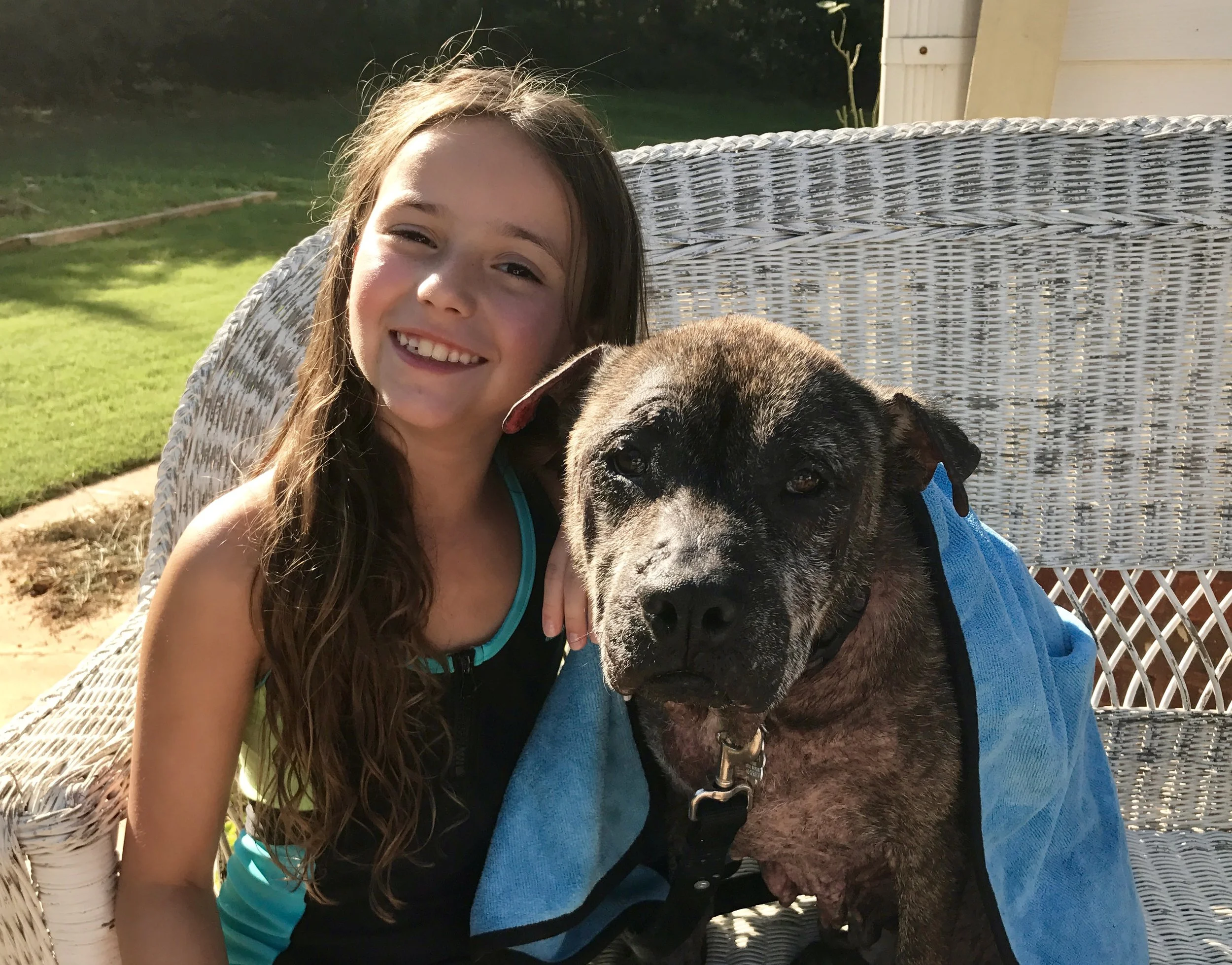 Bella is a sweet girl on her road to recovery.