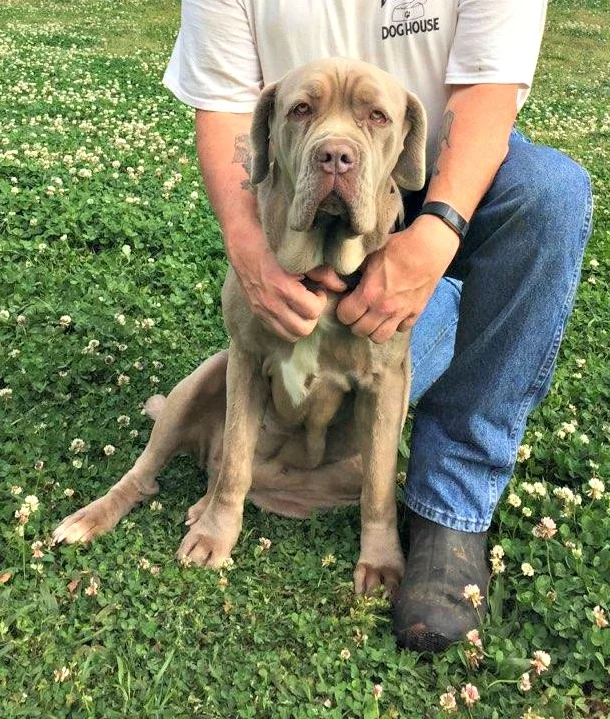 River is a ravishing 4 year old Neo girl.