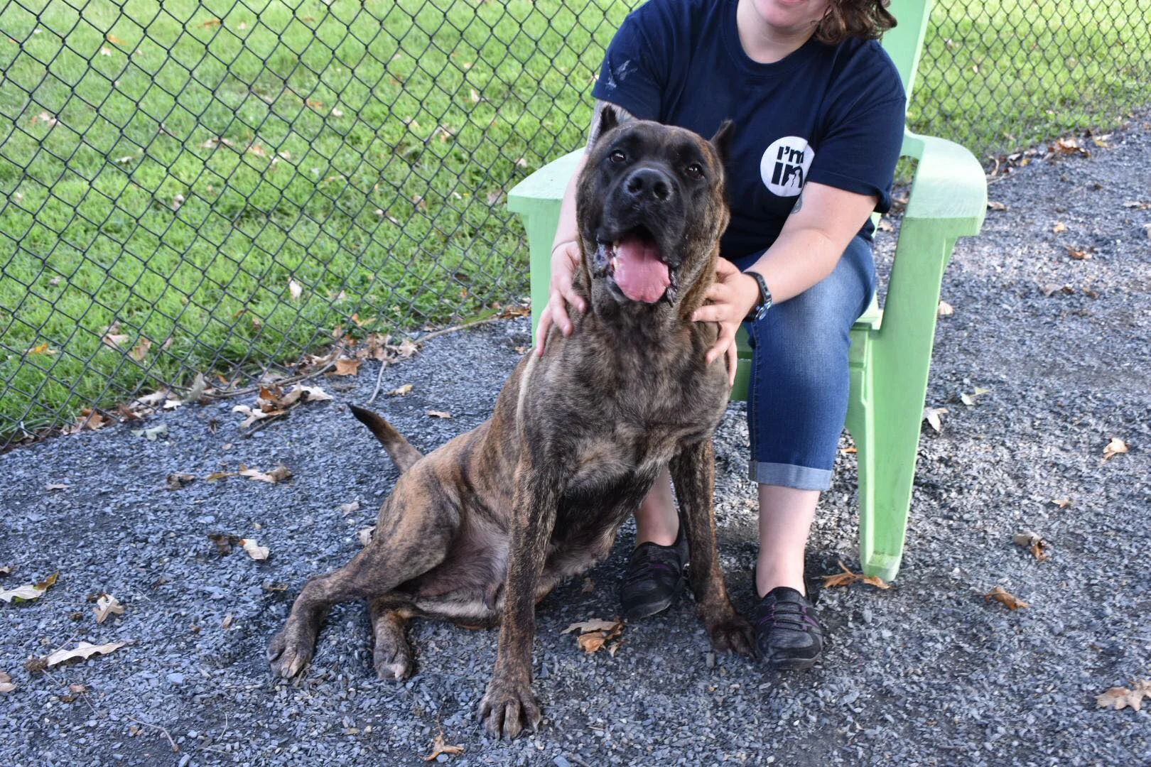 Pasha may be blind, but she sees how great life with her new family is!