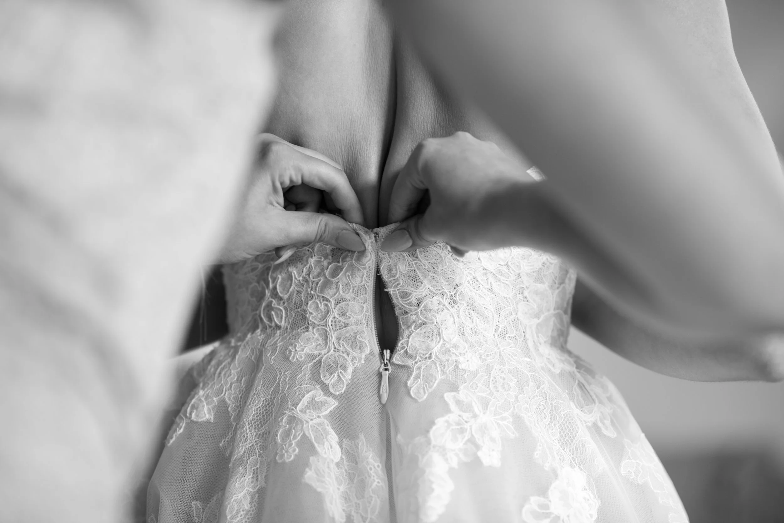 DSC_6323_fullres.jpg