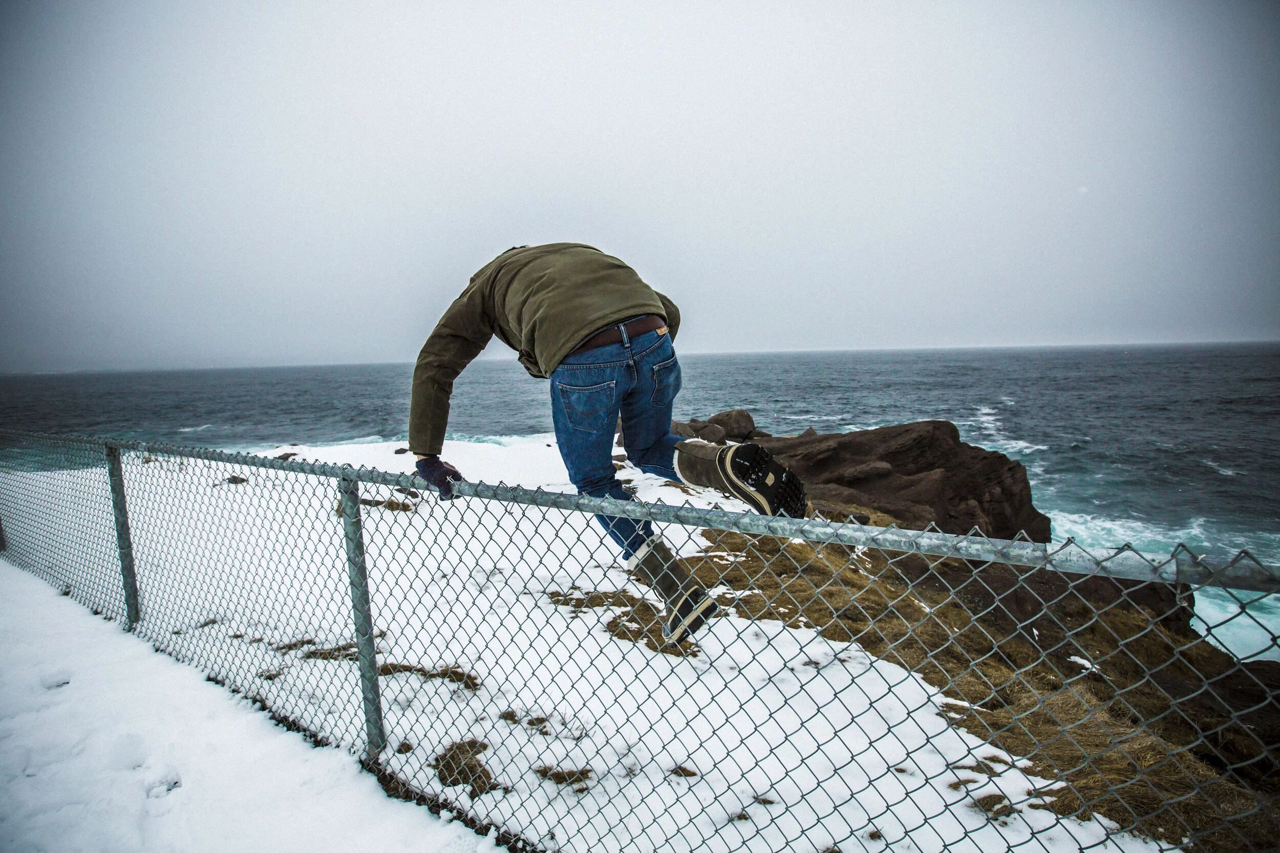 NEWFIE_12.jpg