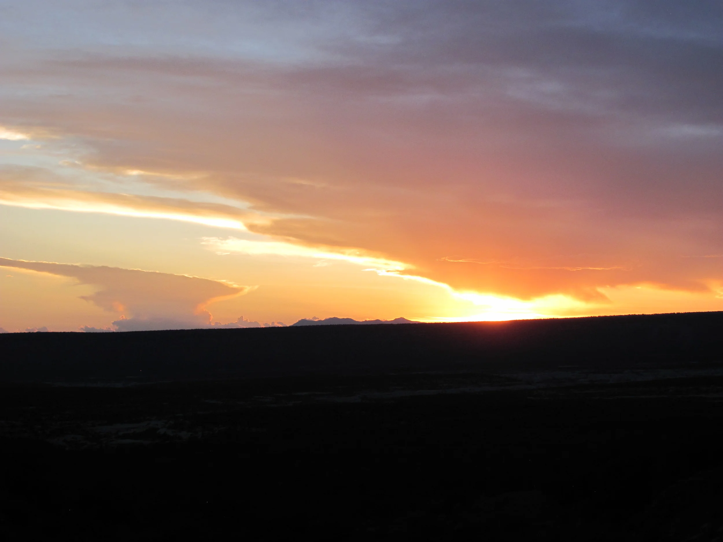 Don't Wait. Choose Freedom Now.