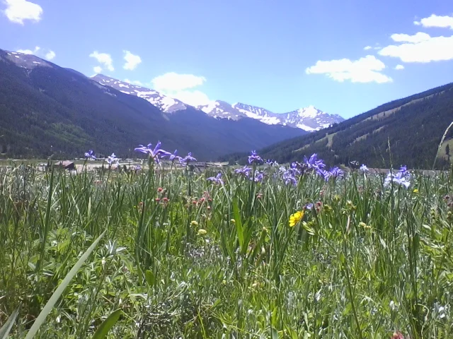 Awakening to Your Human and Spiritual Natures