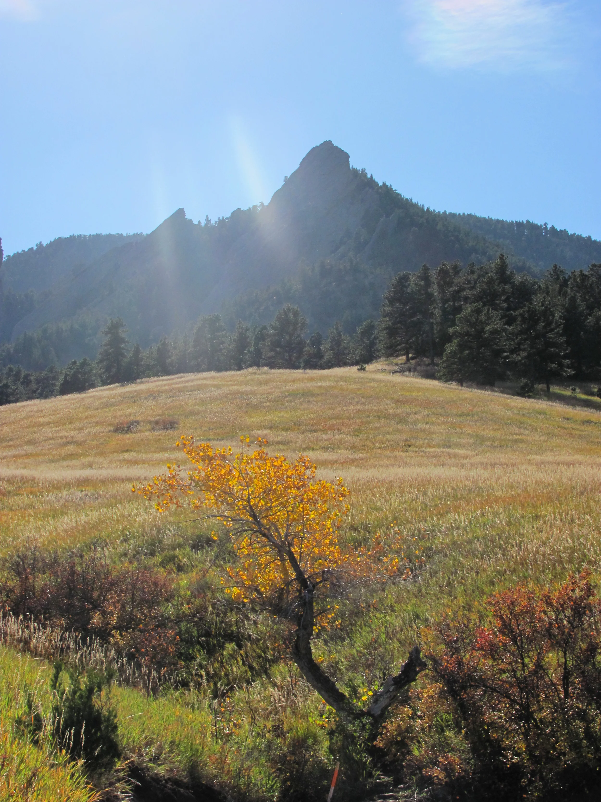 Have You Given Up Hope?