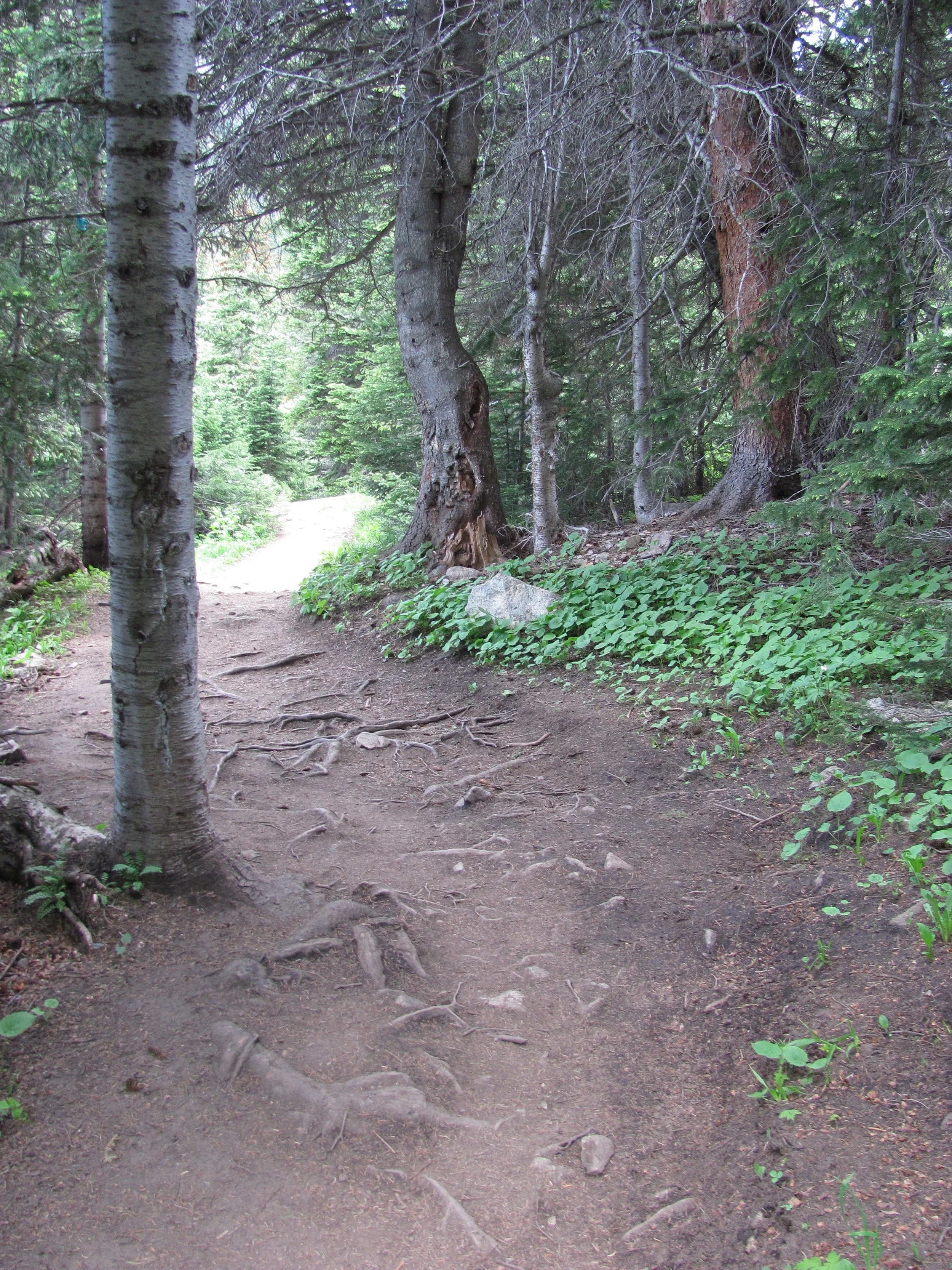 Week 4: Using Past Trauma as Your Great Ally