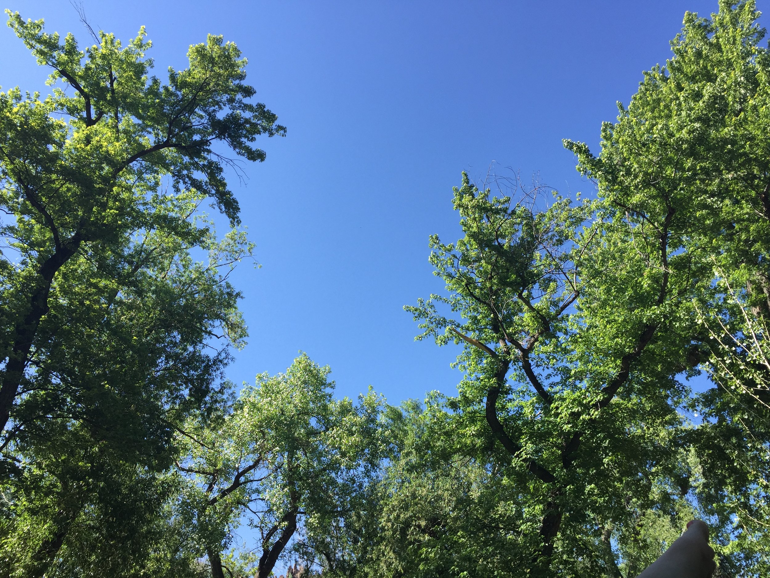 My Approach to Working With Clients