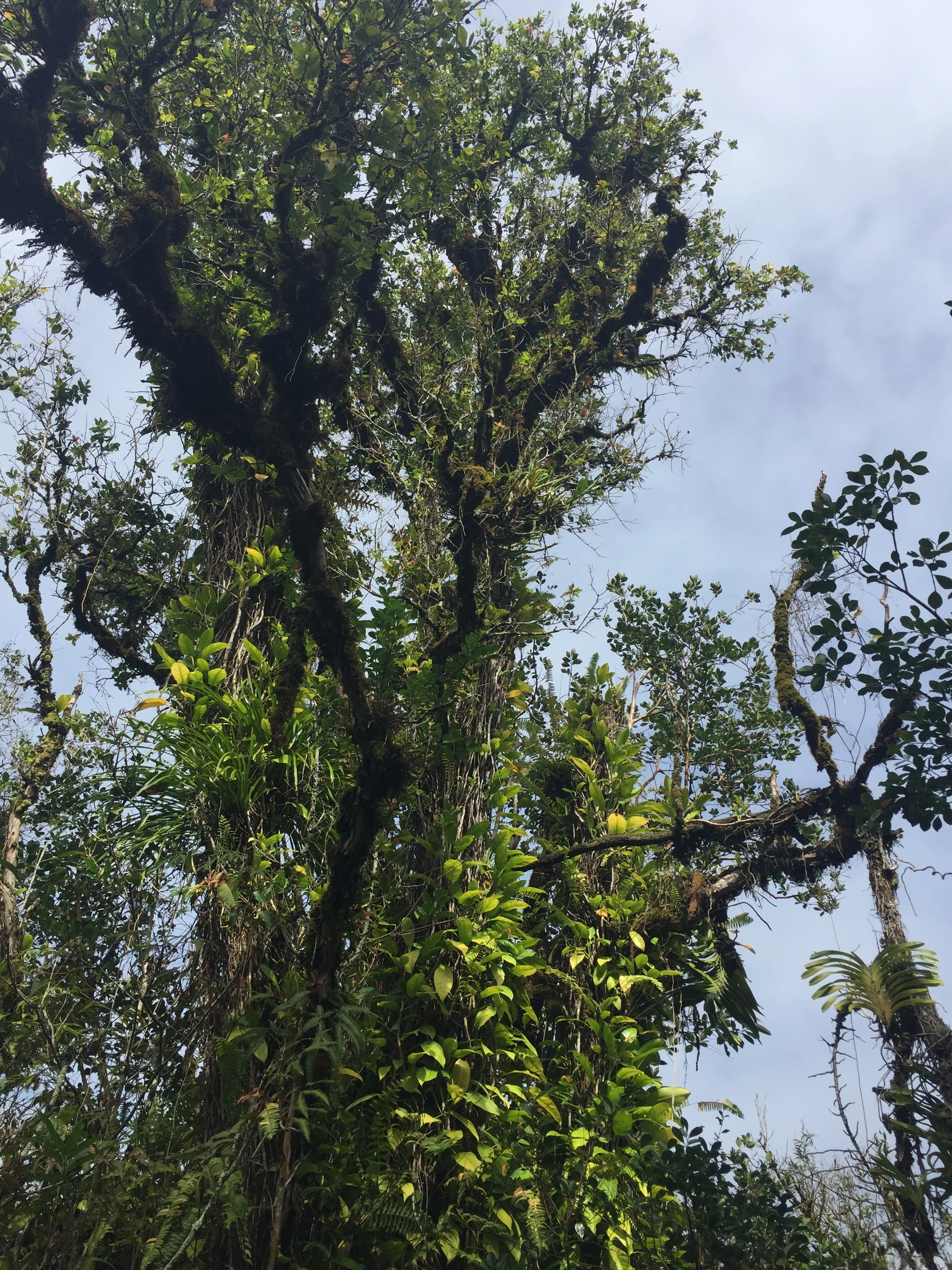 Searching For Belonging