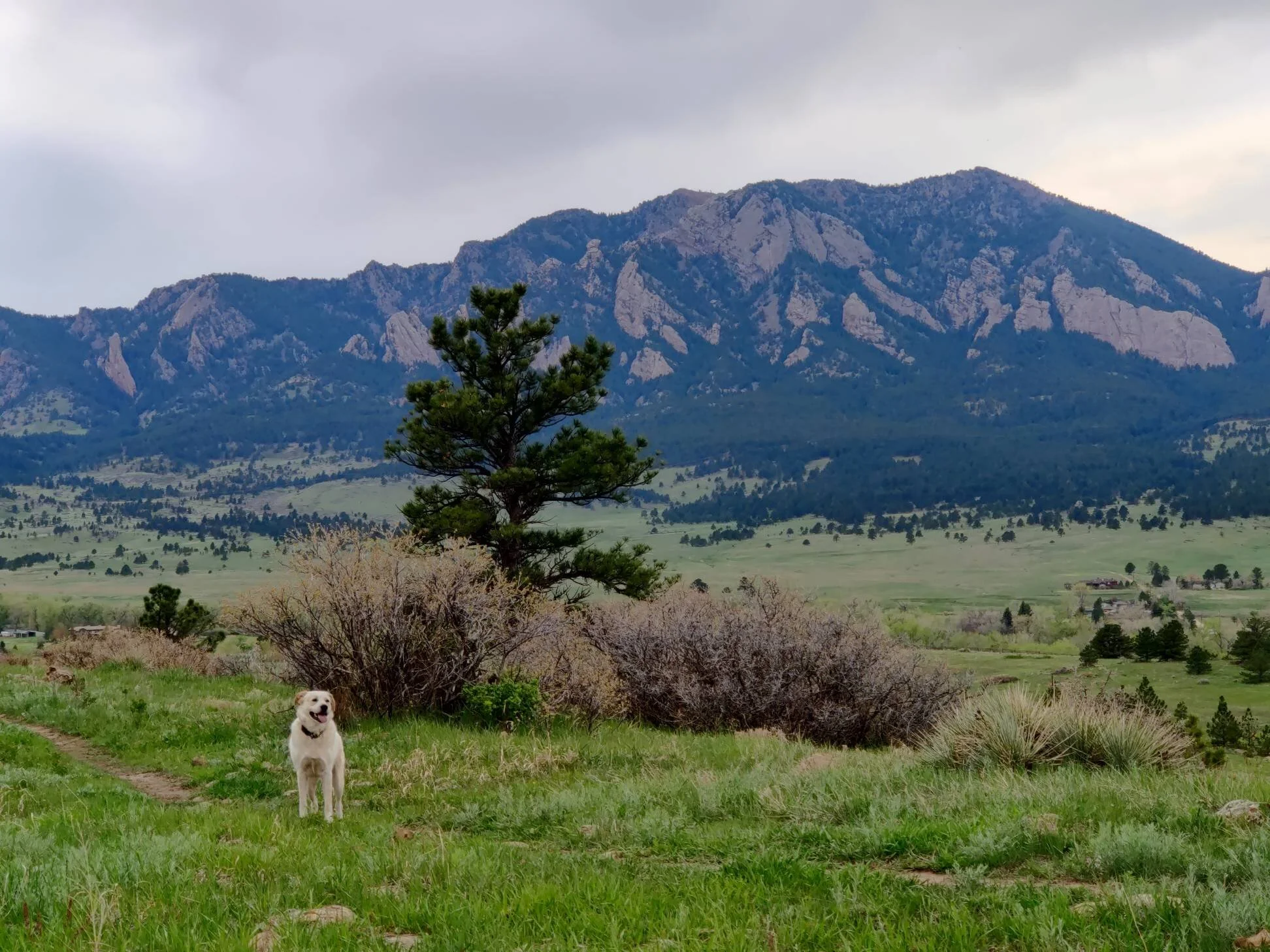 Appreciating Silence