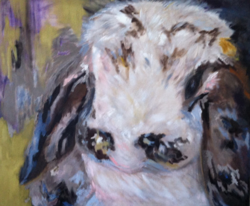 Olena Marshall: One Rabbit (24x50), oil on canvas