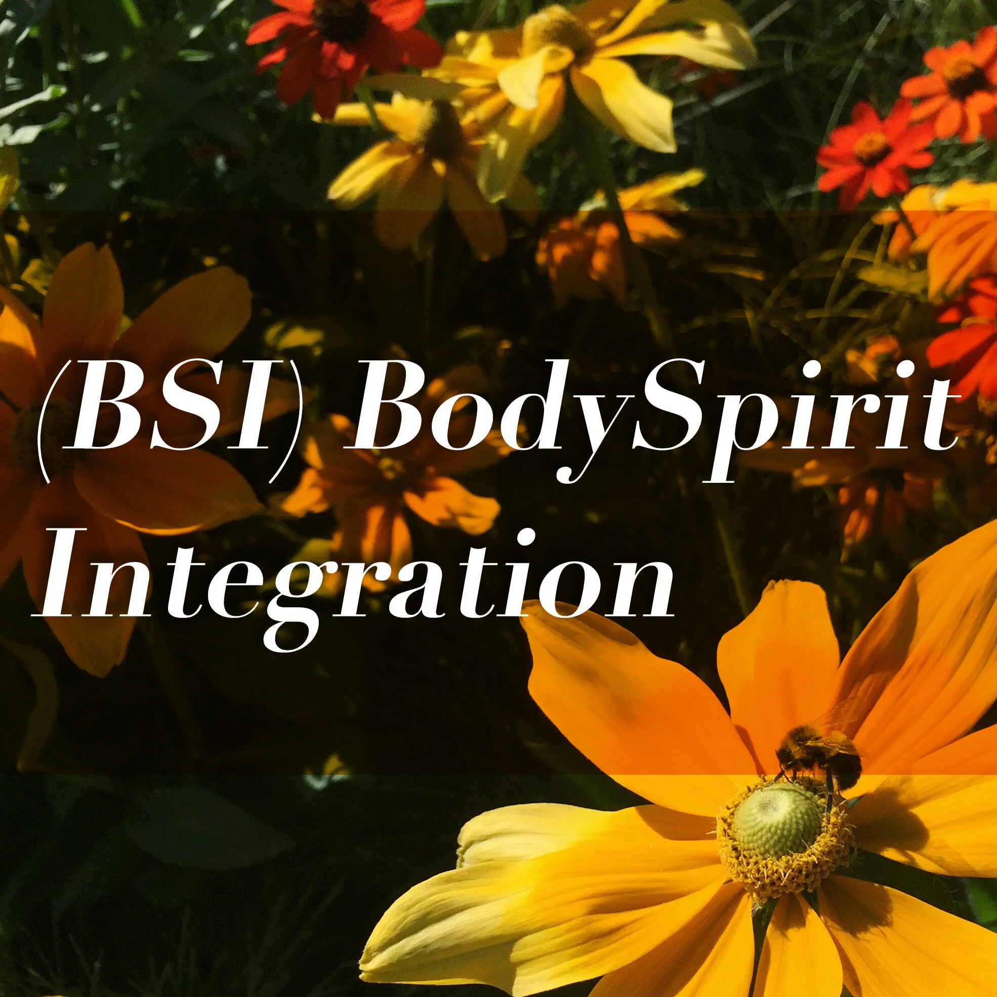 BSI_intergration.jpg
