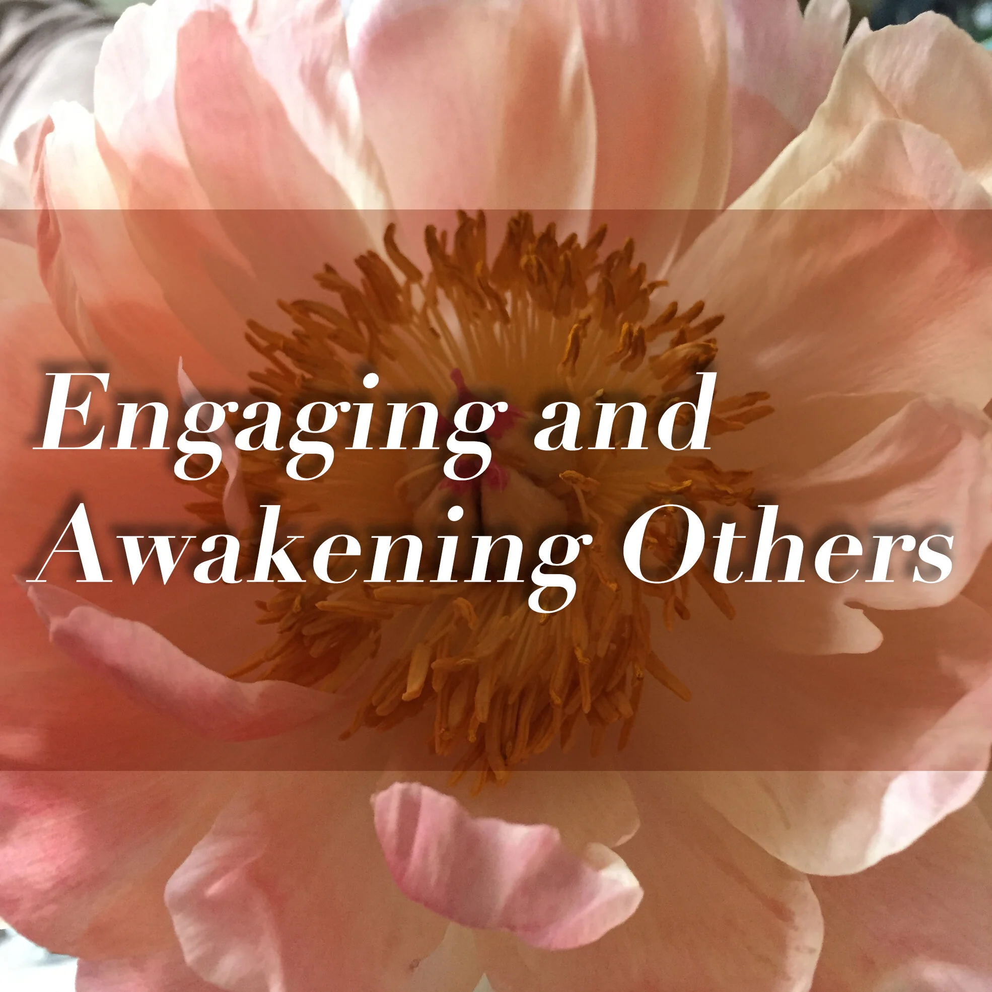 engaging_others.jpg