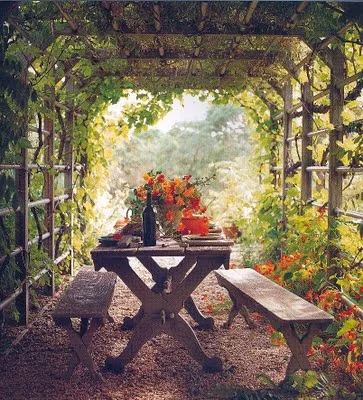 alfresco - wild thyme